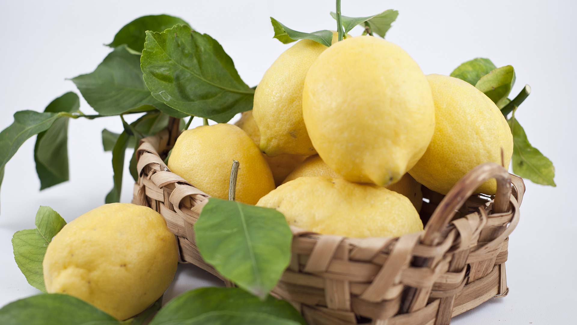 Limoni freschi di Amalfi - Distilleria del Limoncino Amalfi